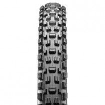 Pneu Vélo MAXXIS Assegai 29" x 2.60" EXO/TR