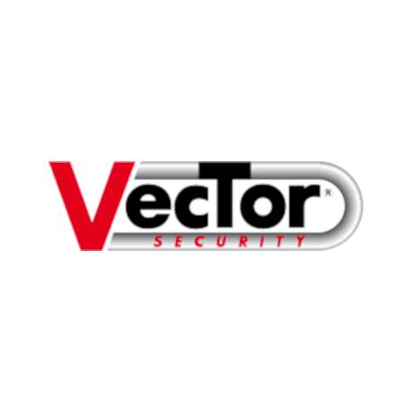 Vector