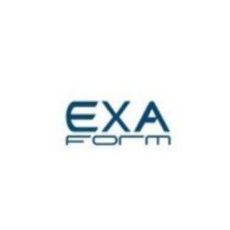 EXA FORM
